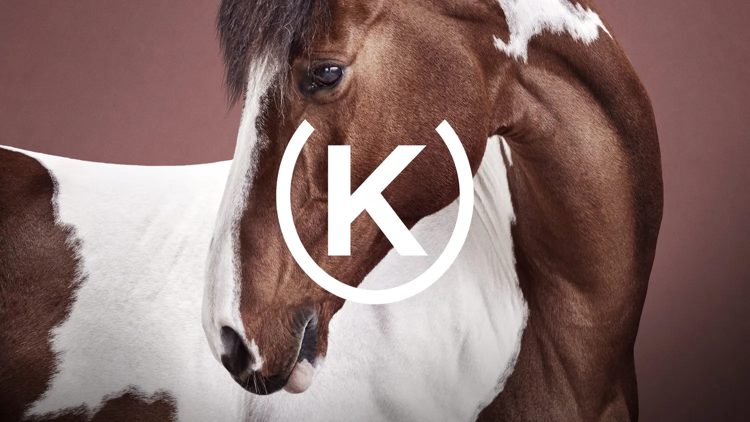 Horse portrait with the new KRAFFT logotype